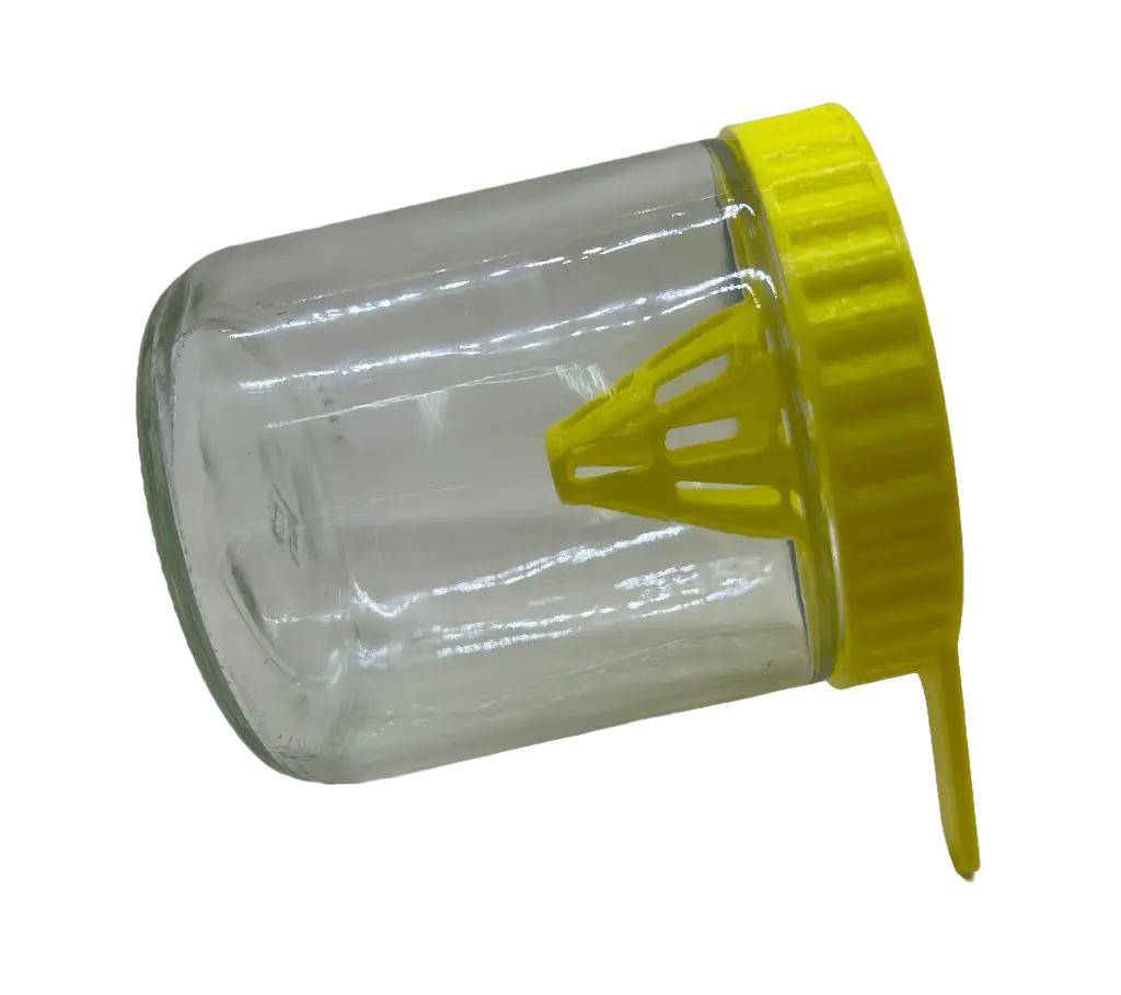 Aziatische Hoornaar Val_2.webp