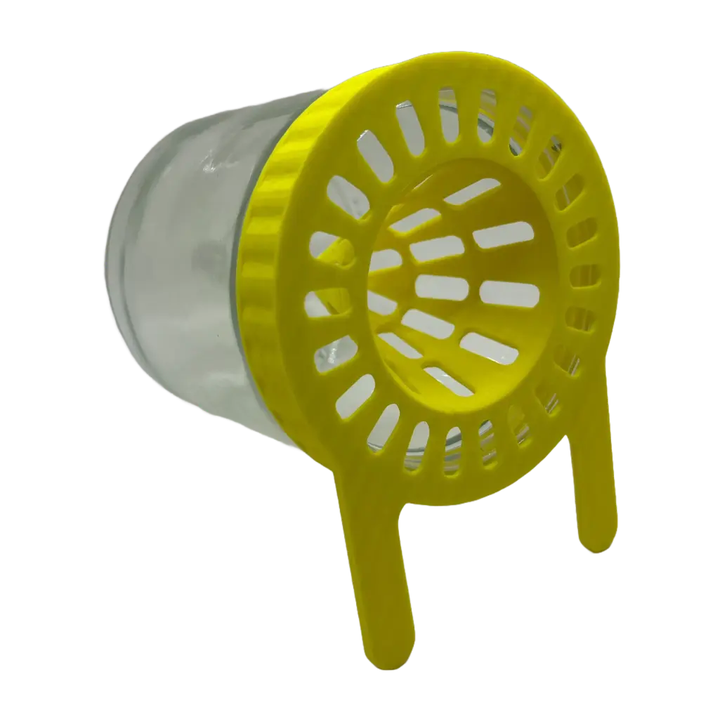 Aziatische Hoornaar Val